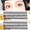 CB Individual False Eyelashes, DIY Individual Cluster Eyelash Extensions At Home, Natural Doll Look Lashes, Set Of 10mm/ 11mm/ 12mm, 2 Trays, Fishtail & Fairy Sandwich