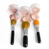 TRIO WITH BRUSHES (LIGHT) Full Size Kit Mineral Makeup Brush Set Foundation Concealer Blush Bare Face Sheer Powder Cover