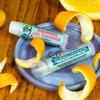 Alice in Wonderland Curioser and Curioser Lip Balm Tube, Orange Marmalade Flavored - Cruelty-Free and Made in the USA with Natural and Imported Ingredients