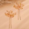 Kercisbeauty Wedding Hair Pins Crystal Hair Accessories for Women Girls Bridal Hair Clips Brides Bridesmaid Hair Dress 2pcs (Champagne Beads)