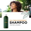 Invigorating Tea Tree Mint Shampoo - Rosemary Mint Shampoo for Oily Hair with Tea Tree Oil for Hair - Aromatherapy Clarifying Shampoo for Build Up Dry Scalp and Flakes with Essential Oils for Hair