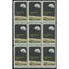 EARTH RISE ~ APOLLO 8 ~ FIRST HUMAN SPACE FLIGHT ~ MOON ~ EARTH #1371 BLOCK OF 9 X 6 US Postage Stamps