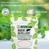 Rodent Repellent, Diatomaceous Earth Peppermint Powder, 1 lb