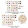 Wooden Life Cycle Toys Tray Frogs for Kids, Butterflies, Chickens, 40 Pieces, Preschool Learning Activities Puzzle Board, Toddlers Education Toys Kit, Preschool Toys for Classroom for Boys and Girls