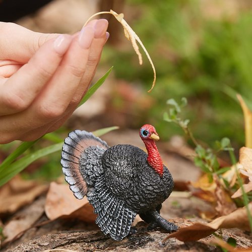 Schleich Farm World, Farm Animal Toys for Boys and Girls, Realistic Bird Toys, Turkey Toy Figurine