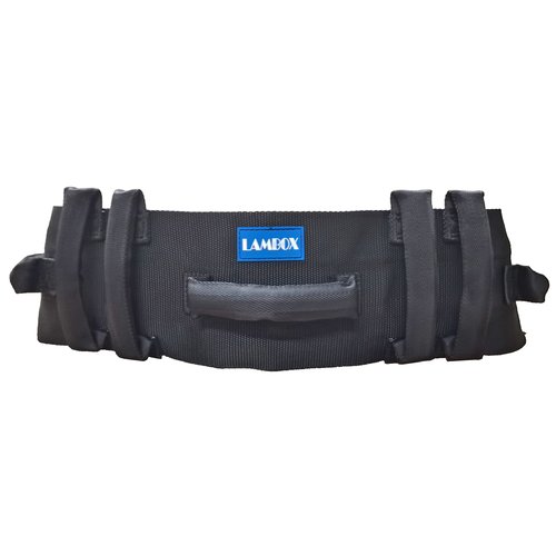 LAMBOX Gait Belt-Transfer Belt with 7 Nylon Padded Handles, Medical Nursing Safety Gait Assist Device for Elderly, Seniors, Therapy (7 Soft Black Handles 60",Plastic Release Buckle)