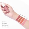 FOCALLURE Liquid Blush Makeup, a Fresh Healthy-looking Finish,Long Lasting Waterproof Face Blush for Cheek,Easy to Create a Velvet Mist Natural Makeup, B04 Pink Lady