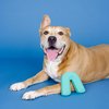 Fringe Studio "Color ME Happy Turquoise Rubber Dog Toy, Pet Shop Collection (518038)
