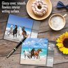 The Best Card Company - 12 Beautiful Blank Note Cards Bulk (4 x 5.12 Inch) (4 Designs, 3 Each) - Gallops and Greetings MQ5074OCB-B3x4