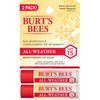 Burt's Bees Lip Balm Stocking Stuffers, Moisturizing SPF 15 Lip Care Christmas Gifts, for All Day Hydration, Water Resistant, All-Weather, Natural Origin Treatment with Sunscreen (2-Pack)