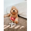 Midlee XO Valentine's Rope Dog Toy