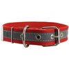 Cotton Web/Leather Reflective Dog Collar 20" Long 1" Wide Fits 14"-18" Neck, Boxer, Retriever