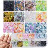 AddFavor 4 Boxes Holographic Nail Sequins Shapes Mixed Iridescent Nail Glitter Flakes Butterfly Hearts Star DIY Design Manicure Decorations Sets for Nail Art/Craft/Makeup
