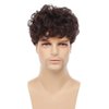 Tseses Brown Curly Men Wigs Afro Short Layered Synthetic Hair Fluffy Daily Cosplay Costume Wig