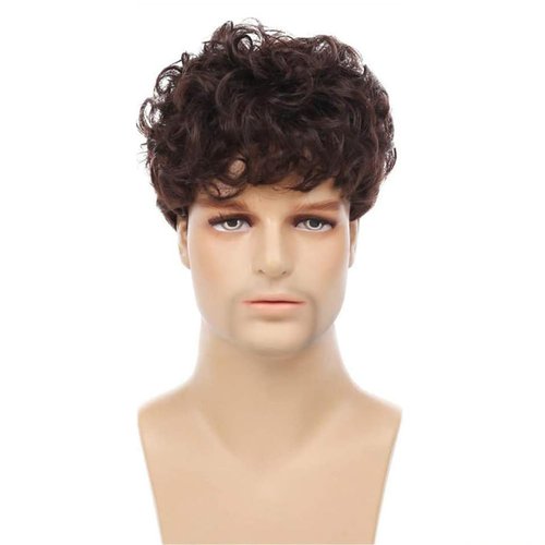Tseses Brown Curly Men Wigs Afro Short Layered Synthetic Hair Fluffy Daily Cosplay Costume Wig