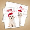 Canopy Street Labrador Love Holiday Card Pack / 25 Cards And Envelopes Pack/Festive Santa Hat Puppy Design With Greeting Inside/Dog Christmas And New Year Cards