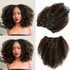 Anrosa Afro Kinky Curly Clip ins for Black Women Piano Natural Black mixed with Chocolate Brown Full Head with 17 Clips 12 Inch Thicken Double Weft Brazilian Hair Curly Extensions Clip in 120g