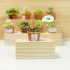 Dollhouse Decoration Plant Pots Miniature Green Potted Miniature Bonsai Model Dollhouse Accessories Decor,1 12 Scale Doll House Miniature Plant Model (4 Different Green Plant)