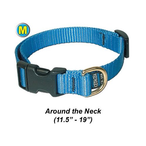 Collar, Adjustable Quick Release - Medium - Baby Blue - Pet/Dog Collar