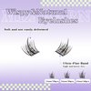 MIZ BARN False Eyelashes 100pcs C Curl Lash Clusters, 11-13mm Natural Individual Lashes Wispy Lashes For Beginners Perfect DIY Eyelash Extensions For Flawless Looks(C-11-13mm MIX)(trilogy)
