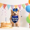 STMK Dog Birthday Party Supplies, Multi Size Dog Birthday Hat with Numbers Dog Birthday Boy Bandana Bow Tie for Small Dogs Pets (Blue, Small)