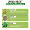 Lung Detox Mullein Diffuser Pen | Natural Mullein Leaf | Lung Health & Detox | Herbal Mullein Diffuser Pen 600 Uses - 2 - Pack