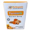 HERBOGANIC Turmeric Herbal Soap | Herbal Bar Soap with Benefits of Turmeric | Nourishes Skin | For Healthy, Radiant Skin | All Natural Bar Soap for Men and Women | 5 oz Bar (Pack of 1)
