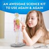 National Geographic Human Body Model for Kids That Glows in The Dark - 32-Piece Interactive Anatomy Model with Bones, Organs, Muscles, Science Kit Stocking Stuffer, Anatomy & Physiology Study Tools