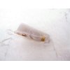Generic 1 1/2 inch smaller white or amber brown alligator hair clip for fine thin hair. (Primary color: White)