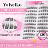 Natural Lash Clusters Wispy DIY Eyelash Clusters 120 pcs Cluster Lash Extensions C Curl Individual Lashes 10-16mm Mix Length Natural Look Lashes Clusters