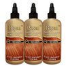 RA4 Rich Auburn Bigen Semi Permanent Hair Color (3 Pack)