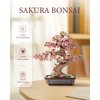 Rolife 3D Wooden Puzzle Flower for Adults, DIY Sakura Bonsai Tree Plants for Home Table Decor, Creative Cherry Blossom Crafts Birthday Model Building Kits Toys