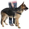 DT Universal No Pull Dog Harness, I Am A Boy, Black, X-Small, Fits Girth Size: 21-Inch to 25-Inch
