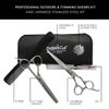 DreamCut 6" Professional Hair Scissors and Thinning Shears 440C Japanese Stainless Steel Kit