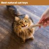 4 Pack Natural Silvervine Sticks Cat Toys Cats Chew Toys for Kittens Teeth Cleaning Catnip Toy Teething Stick Silvervine for Indoor Cats Interactive Cat Kitten Toys Kitty Toys for Cats Dental Care