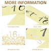 ACO-UINT 16th Birthday Crown and Sash Set, Sweet 16 Party Decorations 16th Birthday Decorations for Girls, Birthday Girl Crown Sweet 16 Gifts for Girls