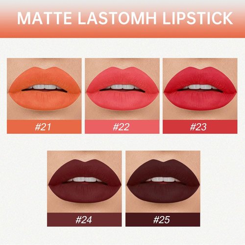 AMY'S DIARY Matte Plum Liquid Lipstick 5Pcs Sets,24-hour Lipstick Dark Deep Red Plum Red Lip Stain 24 Smudge Waterproof for Women (Set05)