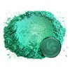 Eye Candy Premium Mica Powder Pigments | Multipurpose DIY Arts and Crafts Additive | Acrylic, Woodworking, Bath Bombs, Resin, Epoxy, Soap, Fishing Lures (Forest Green)