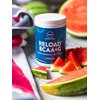 MRM Nutrition Reload BCAA+G Post-Workout Recovery | Watermelon Flavored | 9.6g Amino Acids | with CarnoSyn® | Muscle Recovery | Keto Friendly | 840g, 67 Servings