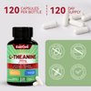 EAZGOO L-Theanine 200mg, Amino Acid Supplement to Support Relaxation, Stress, L Theanine Capsules - Non-GMO, Gluten Free, 120 Veg Capsules