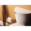 Moen YB5101ORB Voss Toilet Tank Lever, Oil Rubbed Bronze
