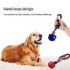 WIDJOQI Pet Ball, Dog Toy Ball, Toy Dog Ball with Rope, pet Interactive Toy, Rope Dog Ball Toy, Throwing Toy Ball, Small and Medium-Sized Dogs, Tough Rope, Durable Dog Ball, TPR Rubber Ball (GLQ)