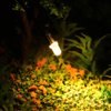 20pcs Pre Wired 3mm Warm White Led Lamp Light Set 12V ~ 18V for Train Layout