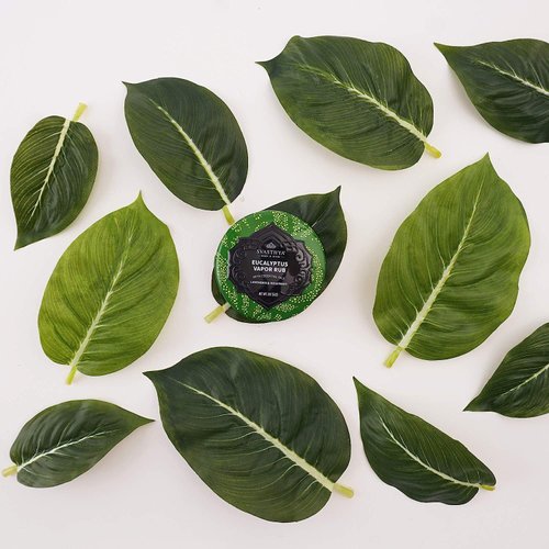 Svasthya Body & Mind Eucalyptus Vapor Rub - Opens Nasal Passages & Moisturizes The Skin, Cough, Stuffy Nose & Congestion Relief, Olive Oil, Beeswax, Lavender, Rosemary - Made in The USA, 2oz