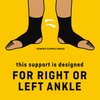 FUTURO Infinity Precision Fit Ankle Support Adjustable 1 Each (Pack of 2)