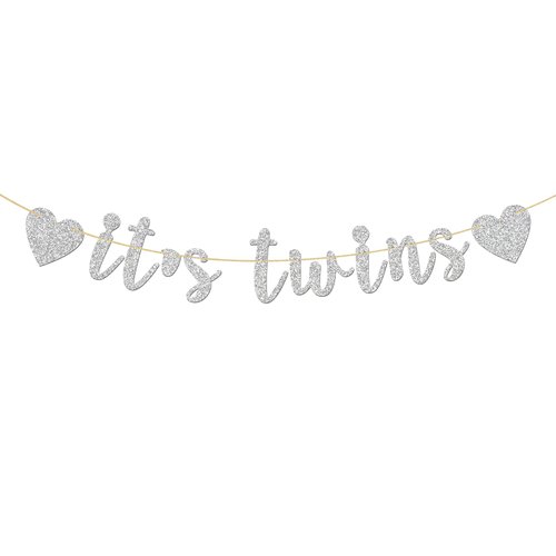 Glitter Silver It&#39;s Twins Banner - Baby Shower - Oh Babies First Birthday Banner - Baby Birthday ...