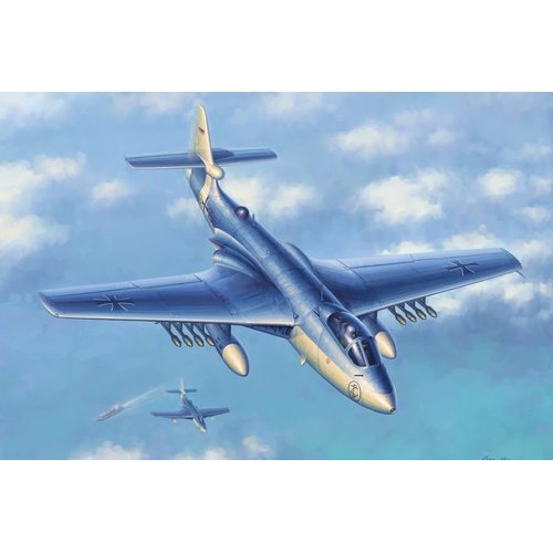 Hobby Boss Seahawk Mk.100/101 Airplane Model Building Kit