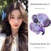 6Pcs Orchid Flower Hair Clips for Girls Flower Hair Clips for Women Hawaiian Hair Accessories Sweet Side Clips Hair Barrettes Wedding Hair Pins