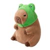Ditucu Cute Capybara Plush Pillow with Wearable Frog Hat Stuffed Animals Capibara Plushies Toys Gifts for Kids 11 inch