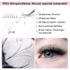 Premade Volume Eyelash Extensions 4D-D-0.10-9 Short Stem Premade Fans Eyelash Extensions 9 to 20 mm Volume Lash Extensions .07 .10 Pre made Lash Fans C D Curl (4D-D-0.10,9mm)